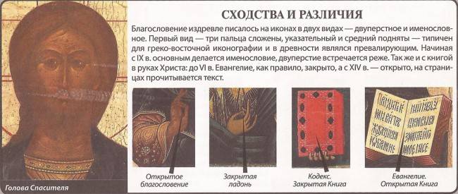 shodstva_razlichiya